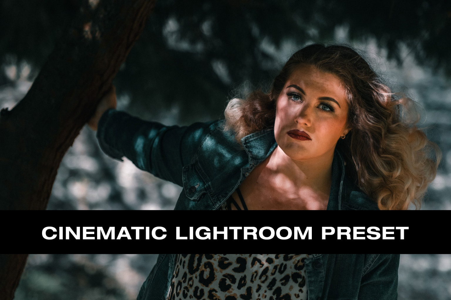 Cinematic – Lightroom Preset Pack – Pav SZ